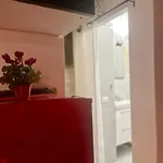 Natural Red Passion In Downtown * פרוג'ה