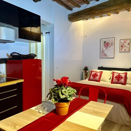 דירה Natural Red Passion In Downtown פרוג'ה