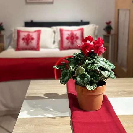Natural Red Passion In Downtown פרוג'ה