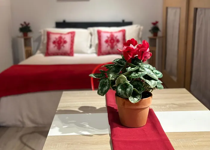 Natural Red Passion In Downtown 佩鲁贾